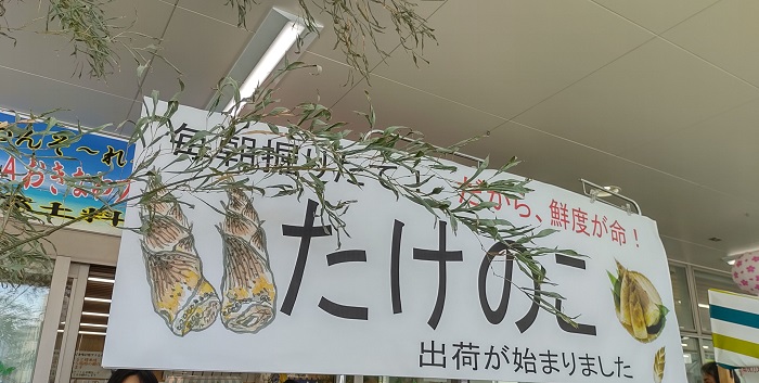 旬のタケノコ直売