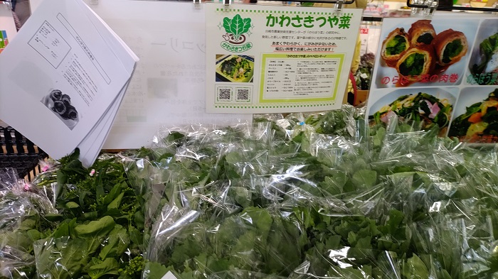 川崎つや菜