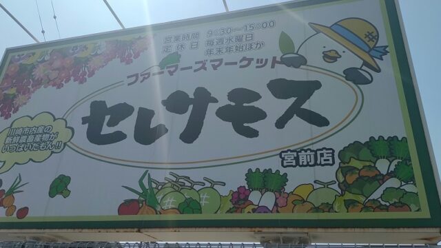 セレサモスの看板